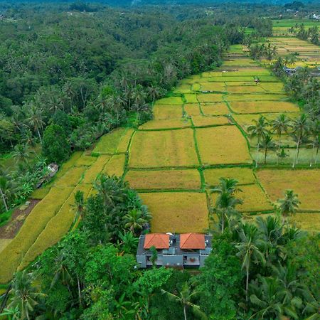 The Alus Cottage And Villa Ubud  Luaran gambar