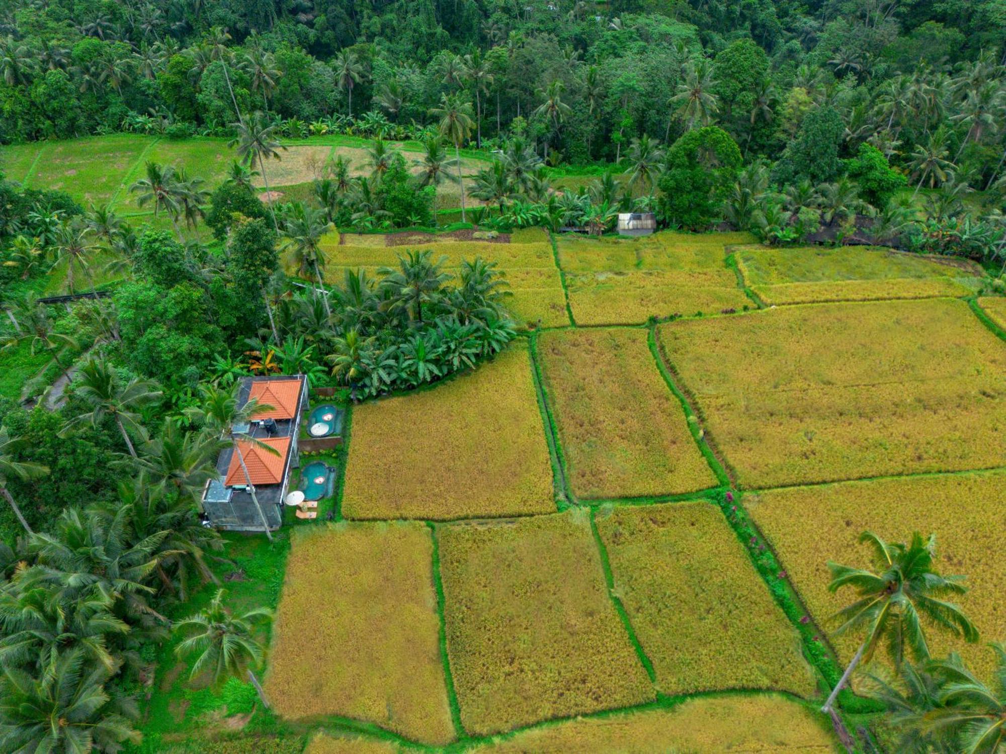 The Alus Cottage And Villa Ubud  Luaran gambar