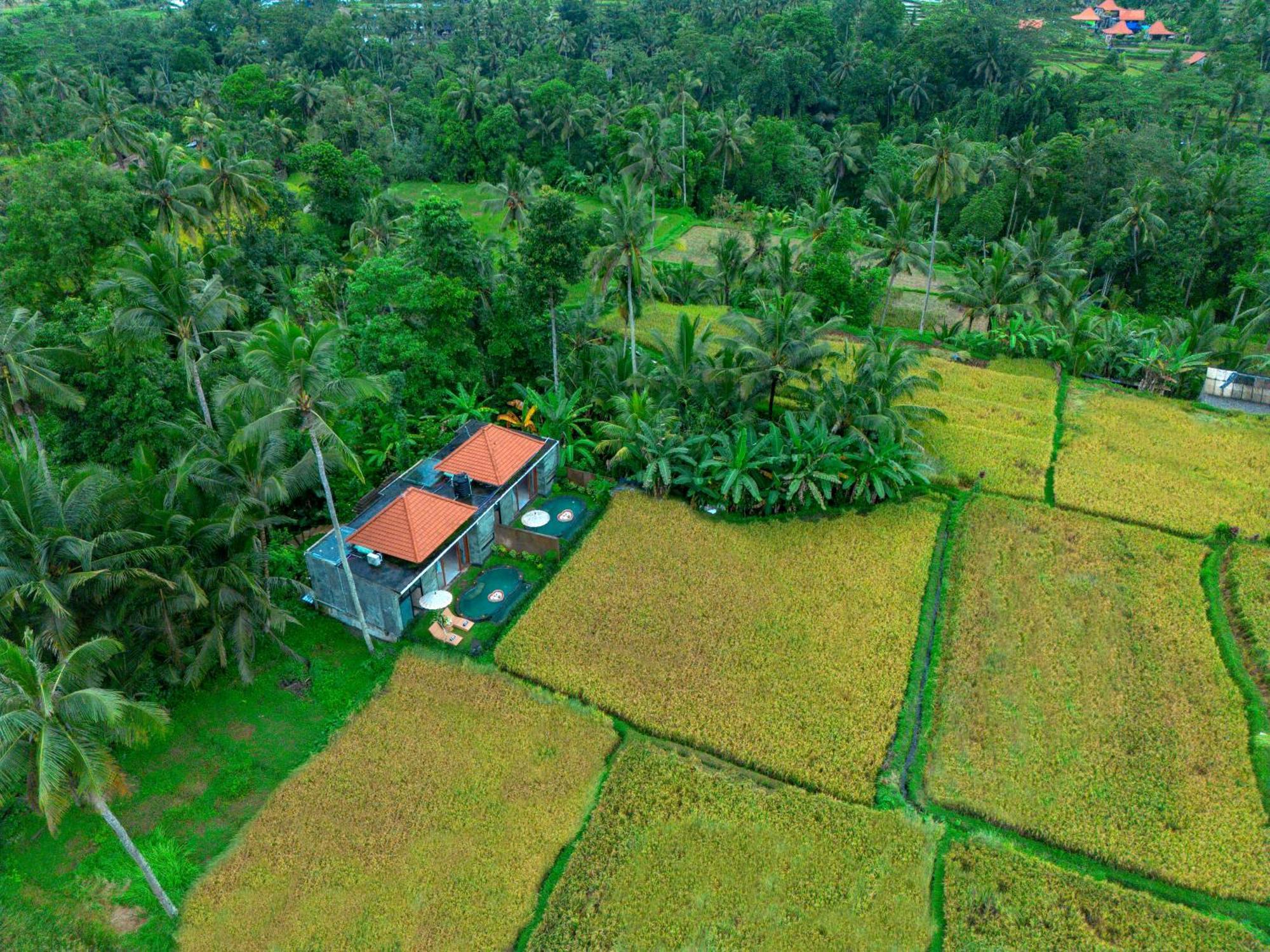 The Alus Cottage And Villa Ubud  Luaran gambar